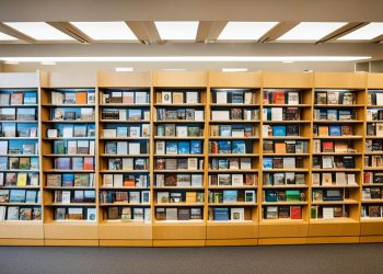 Biblioteka Sosnowiec